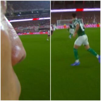 Gol do Palmeiras na Libertadores - 88