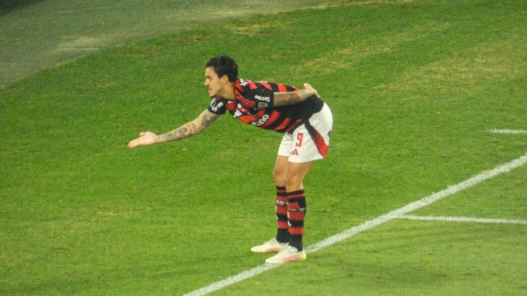 Pedro Flamengo gols Libertadores - 75